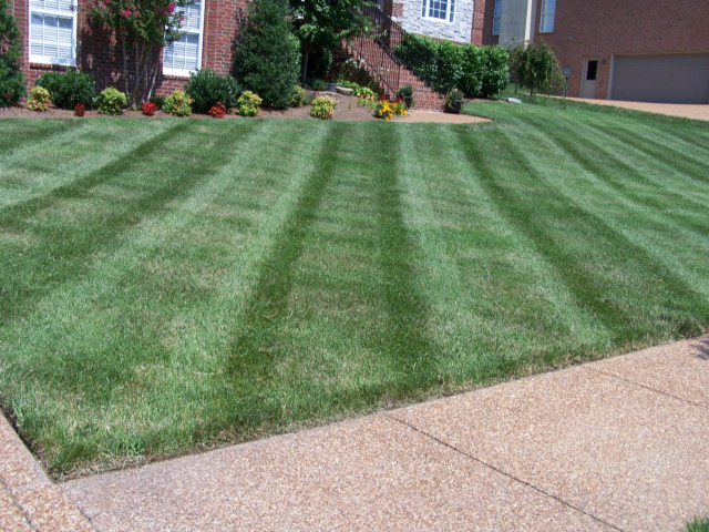 Diagnol Mow Lines