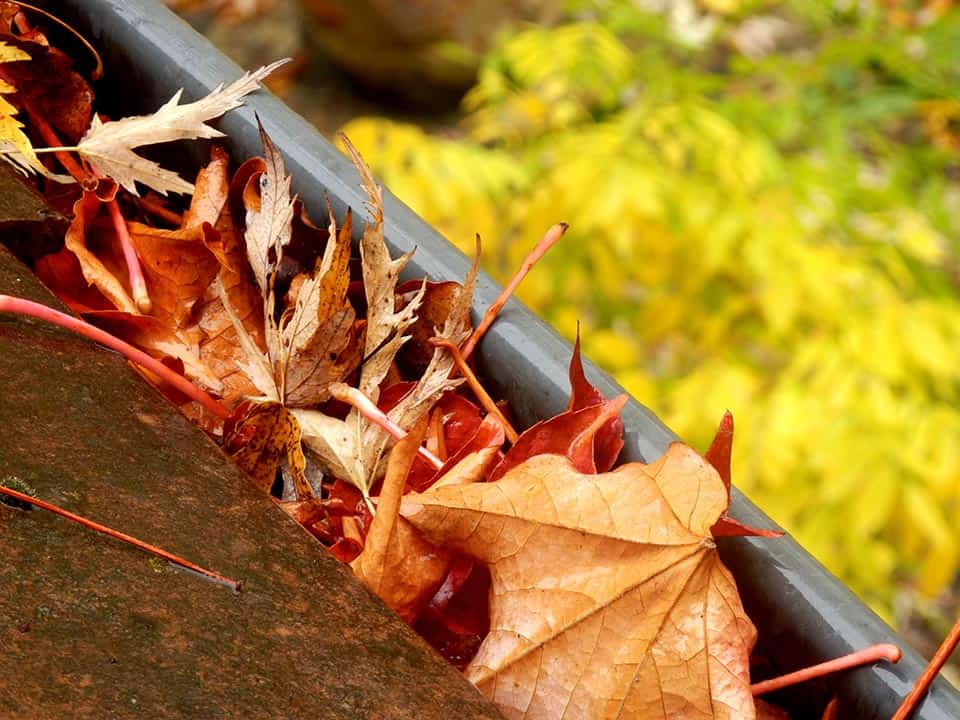 Gutter Cleaning In Centreville Fairfax County Northern Virginia