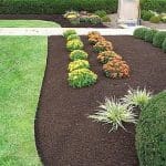 mulch