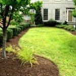 mulch 2
